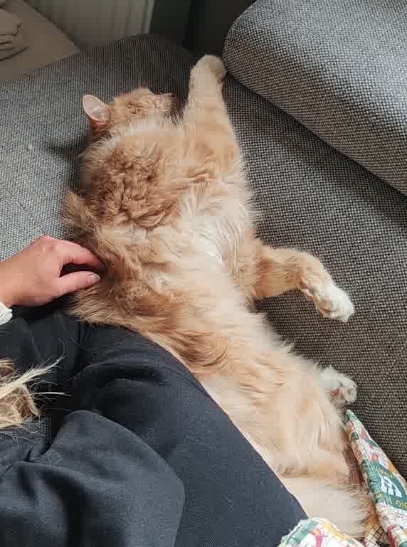 Lenny photo 3