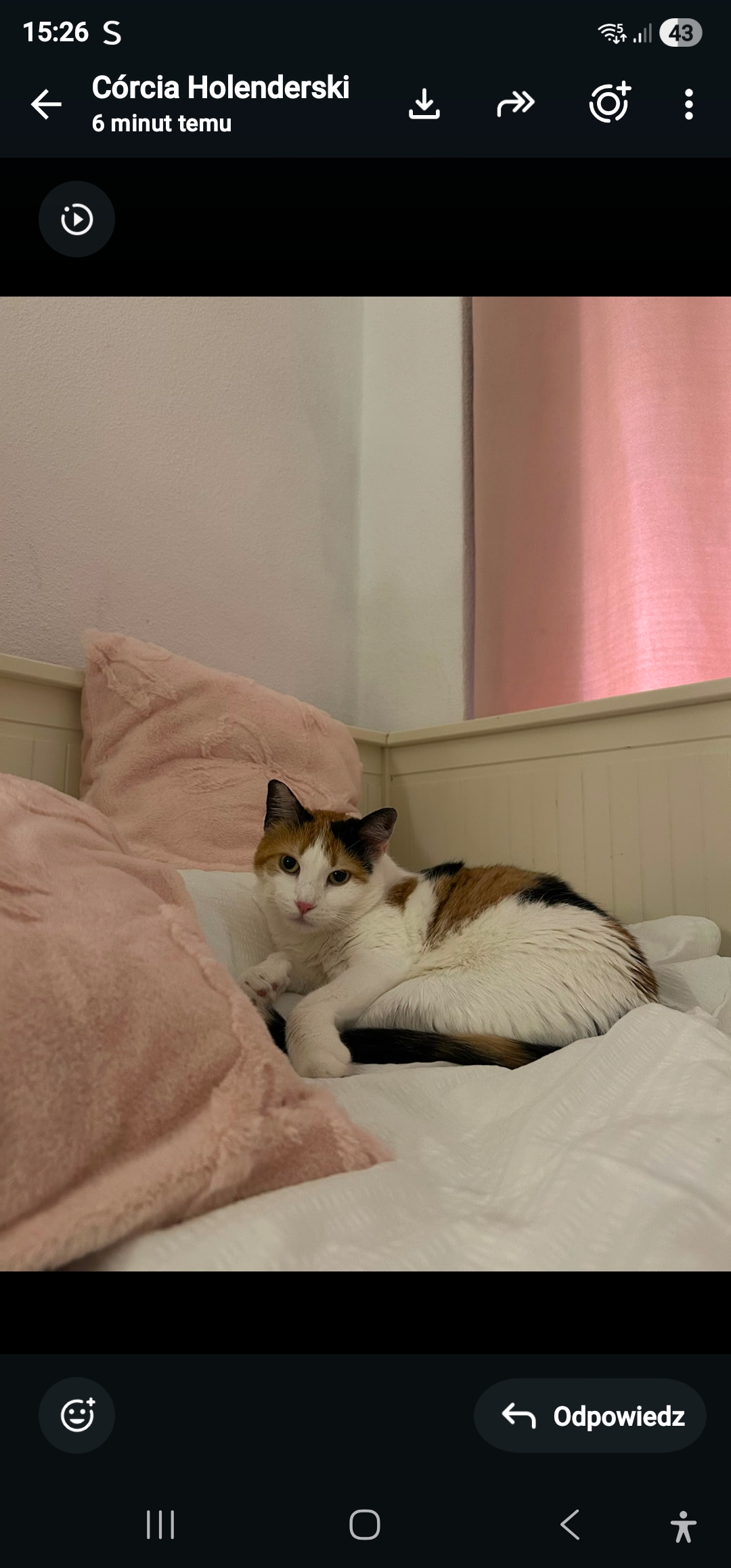 KITTY foto 3