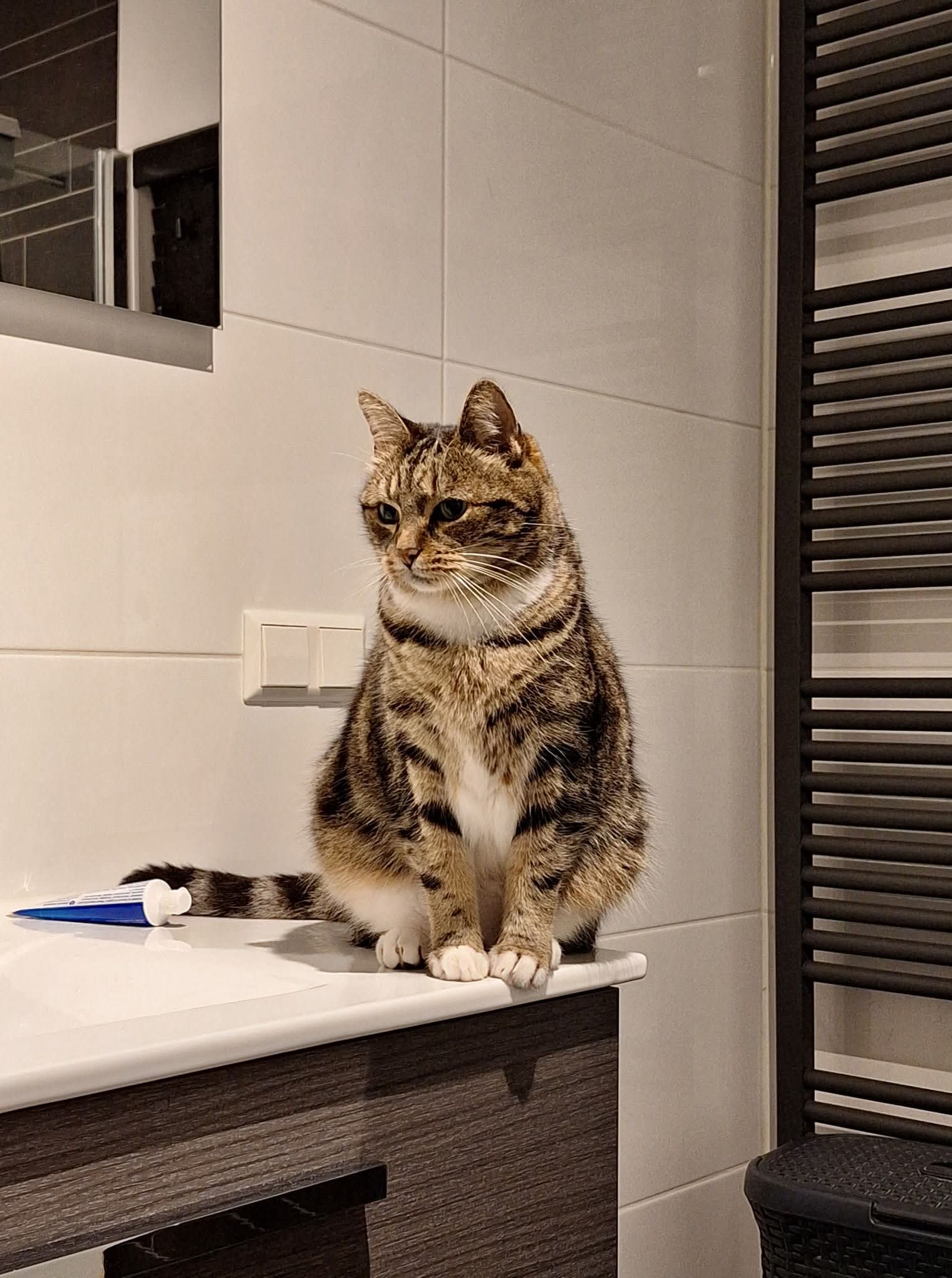 Hero zdjęcie 4