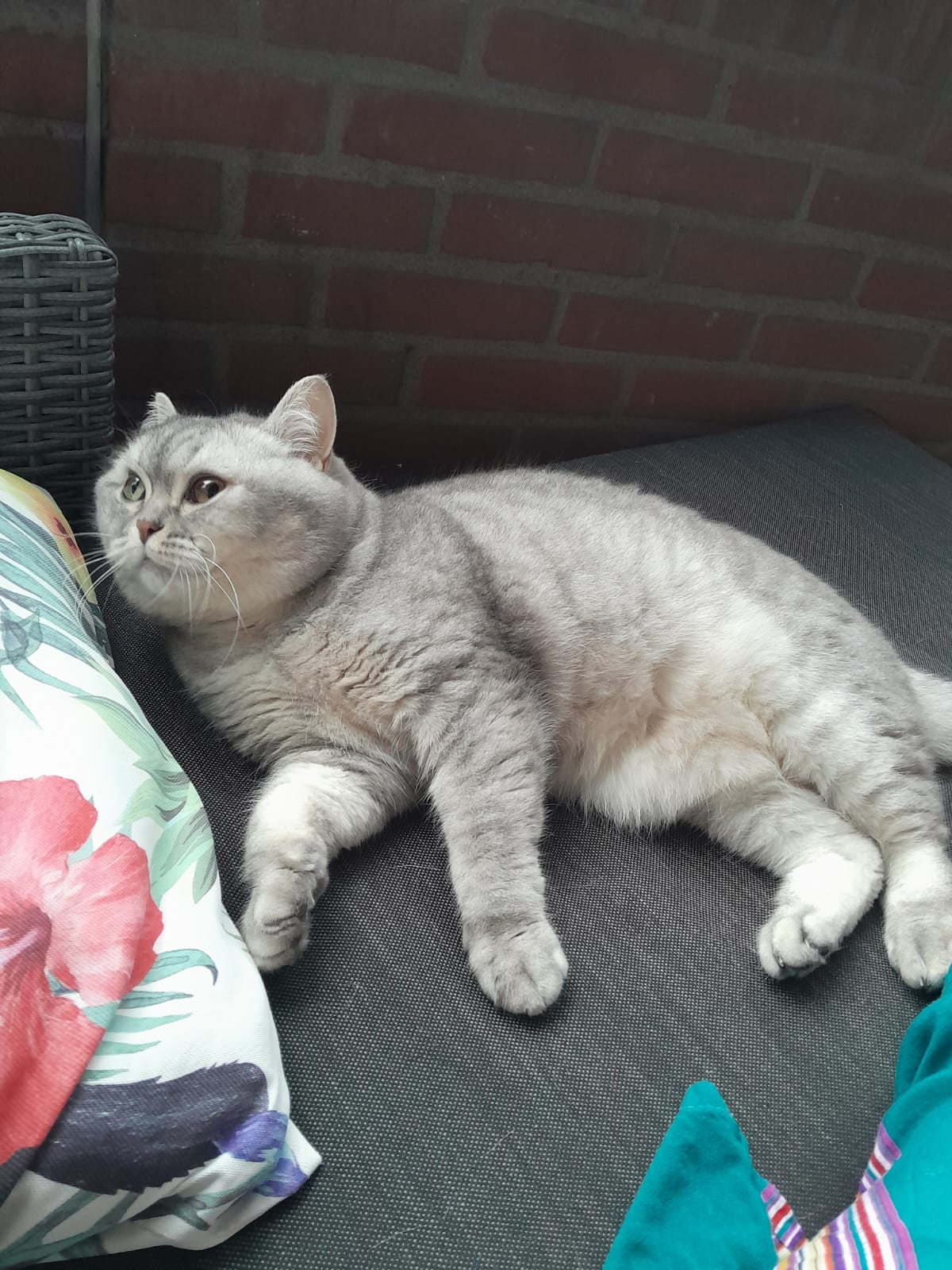 Bella foto 3