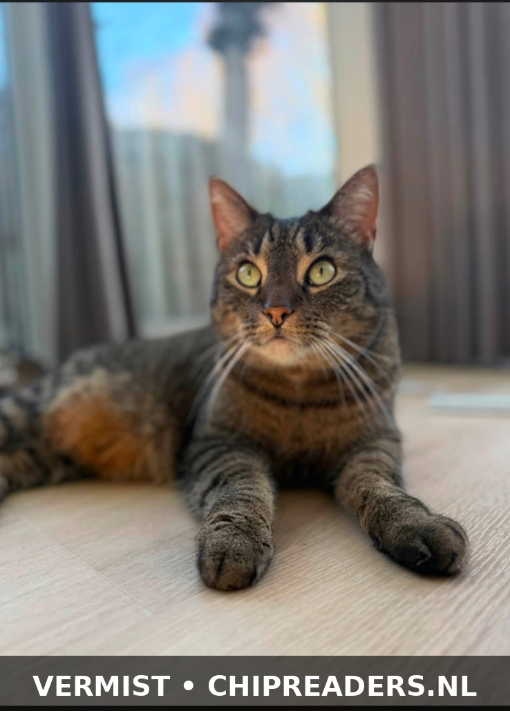 Milo