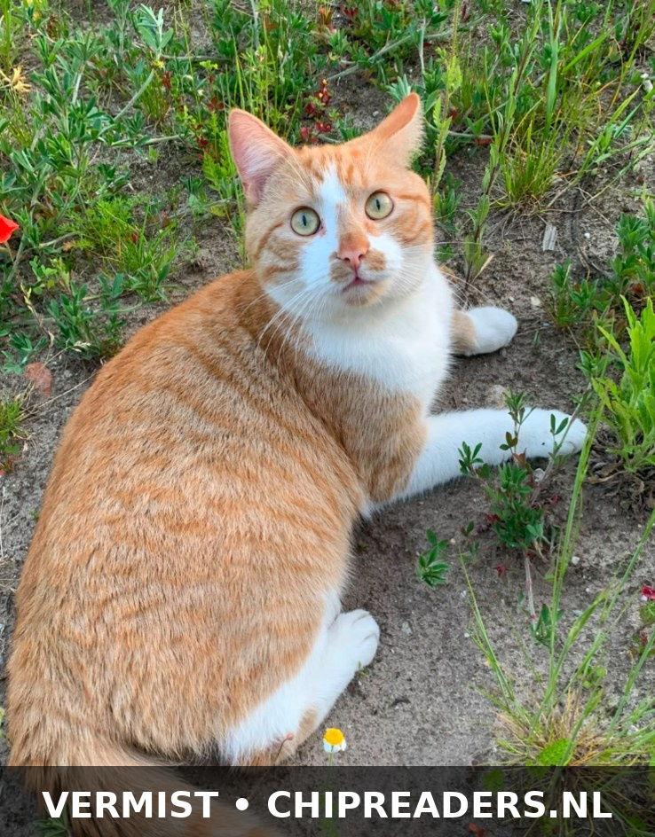 Milo