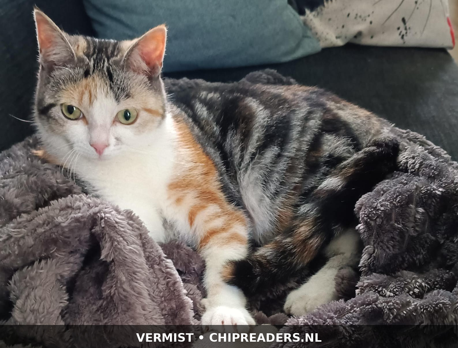 Wolkje
