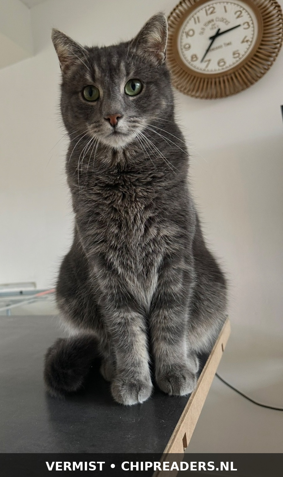 Pip