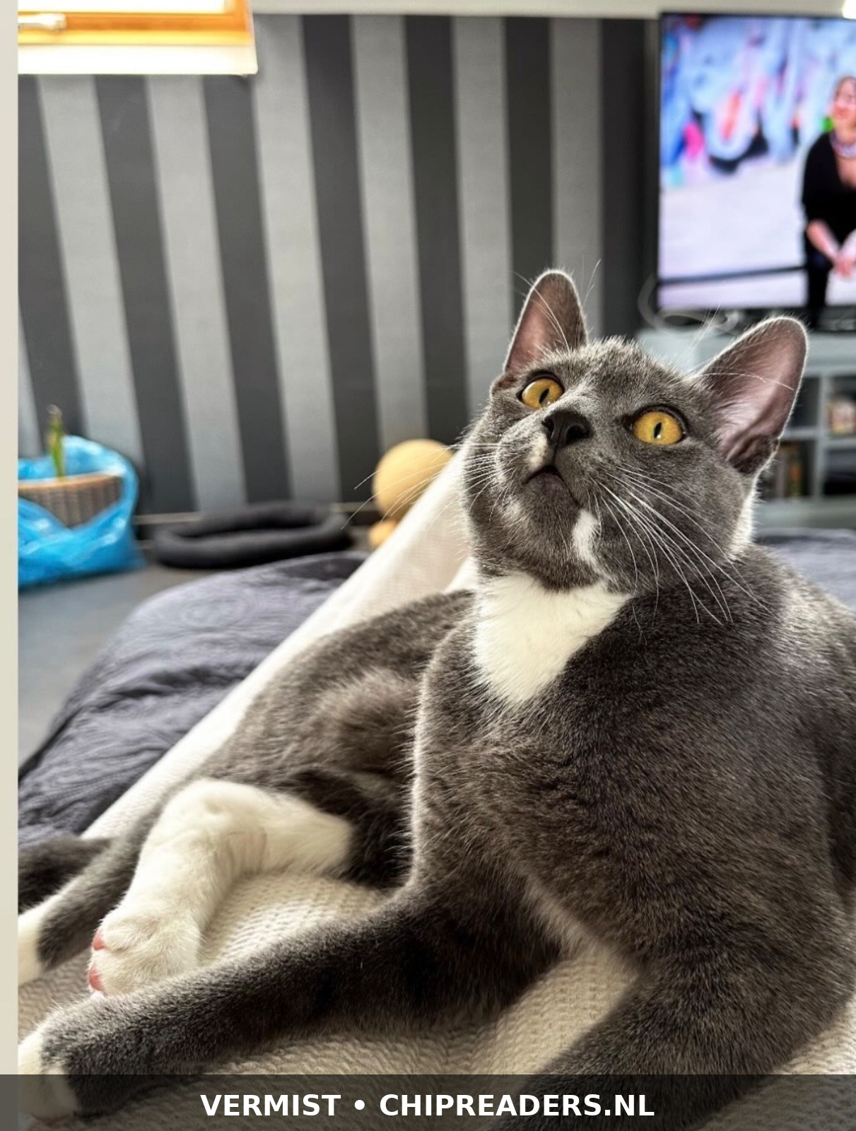 Tom