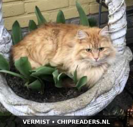 Juffrouw Jannie