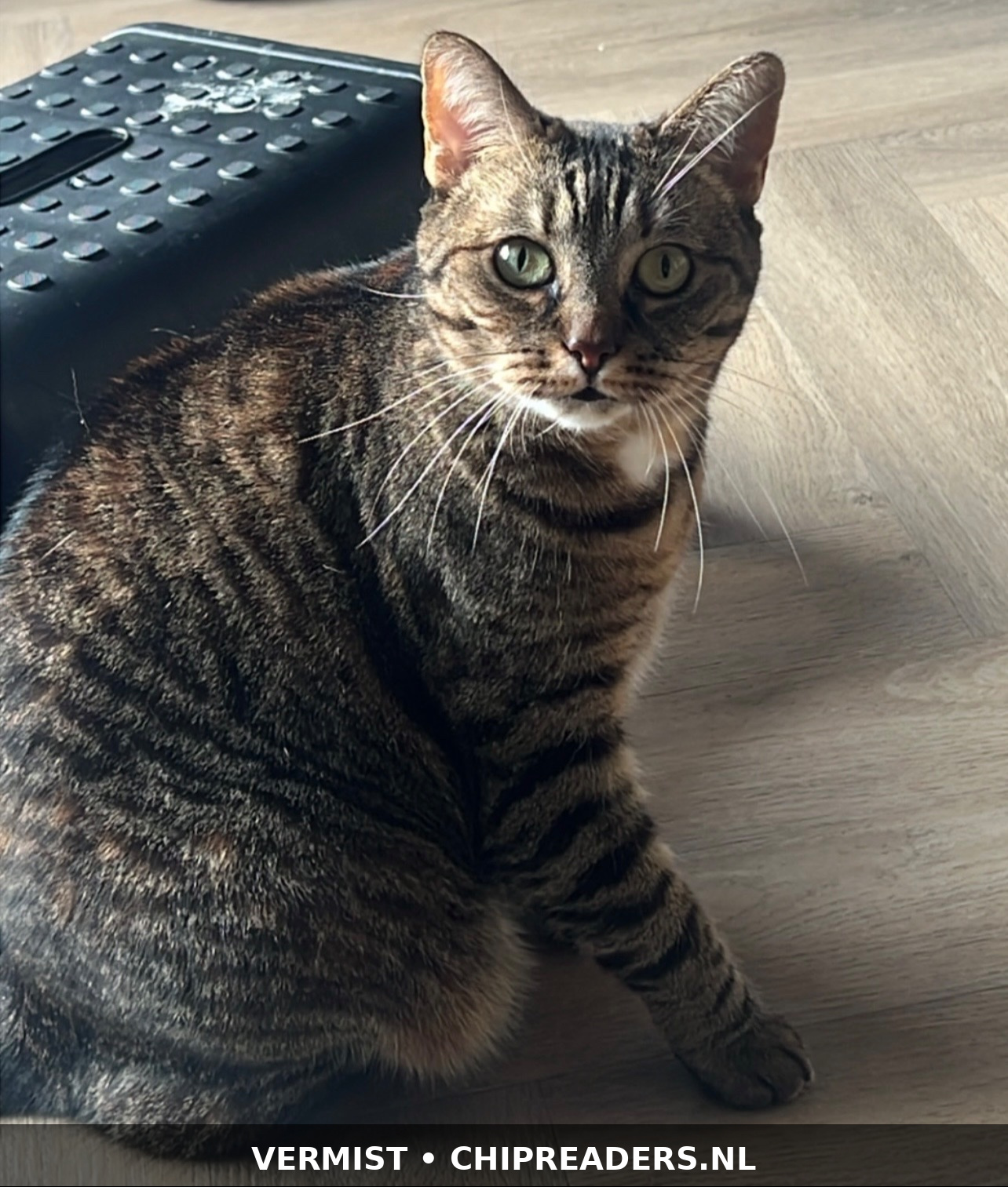 Nayla