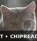 Pip