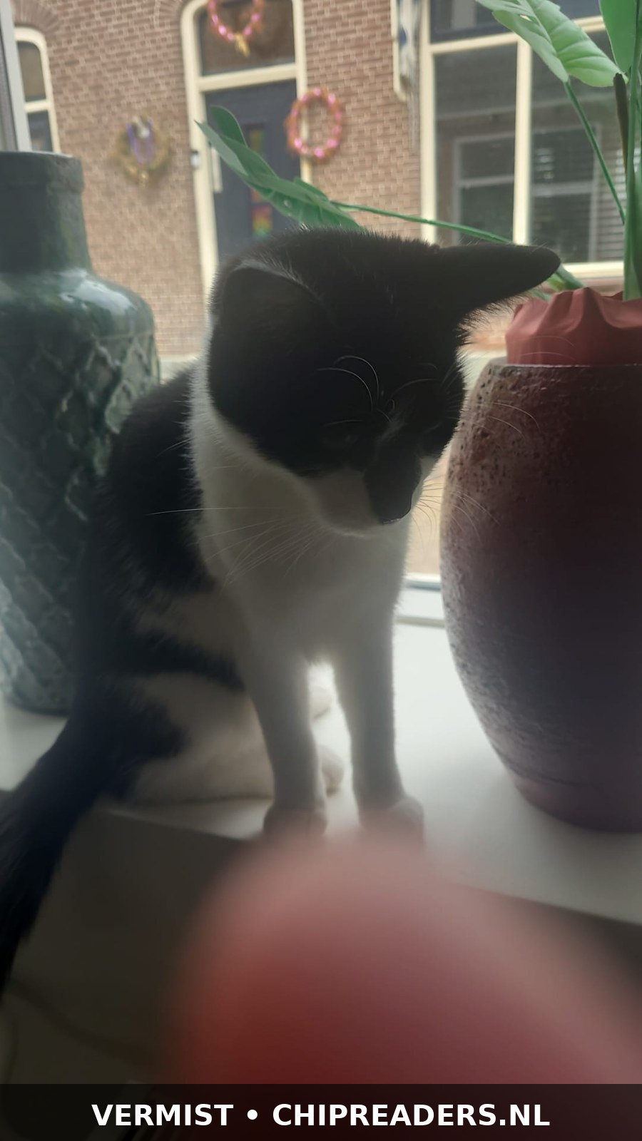 Mila