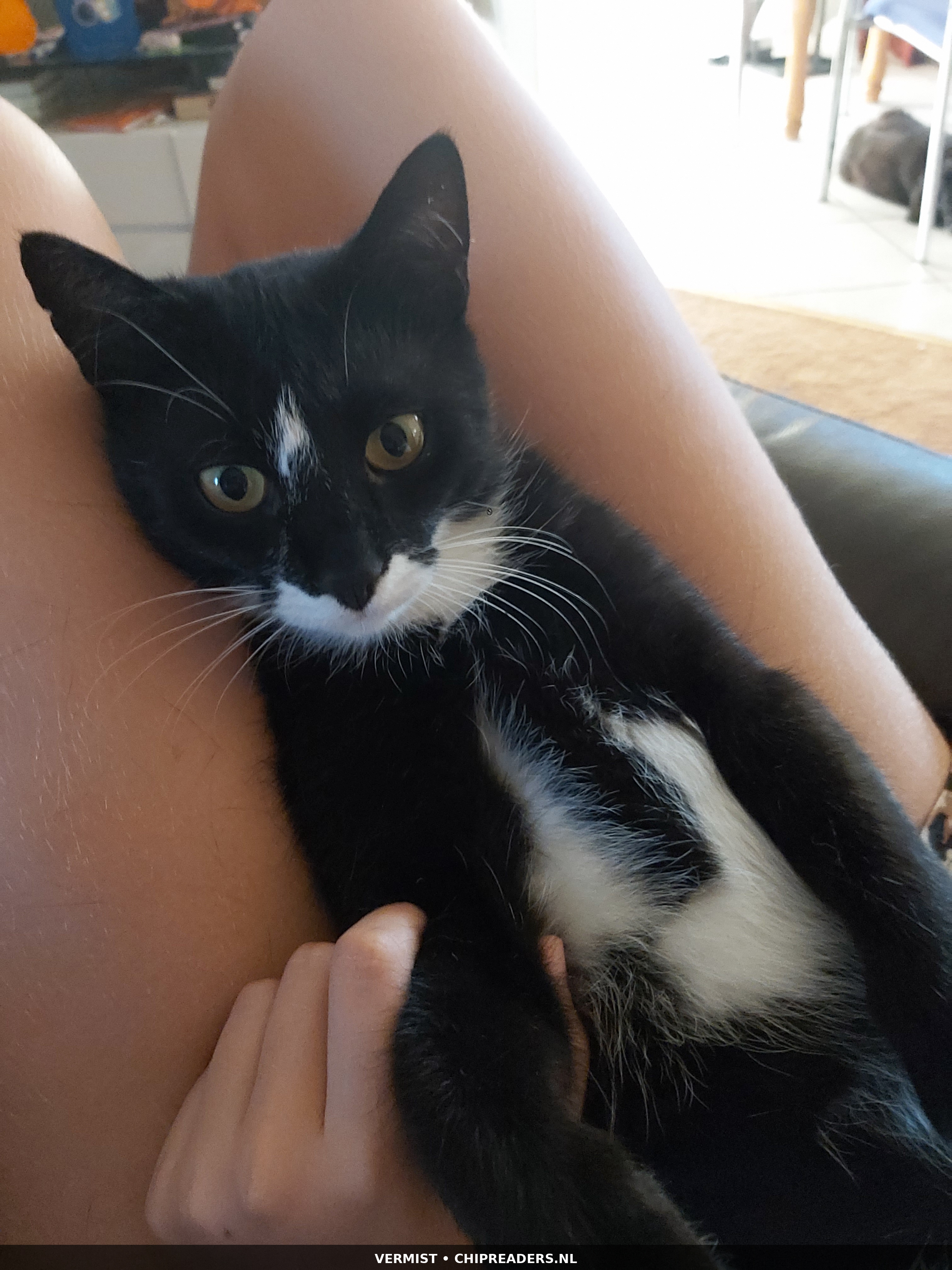 Nero foto 2