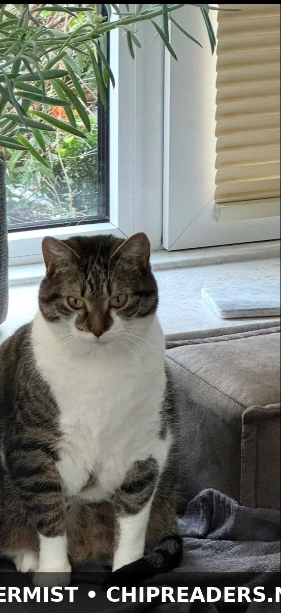 Pepper