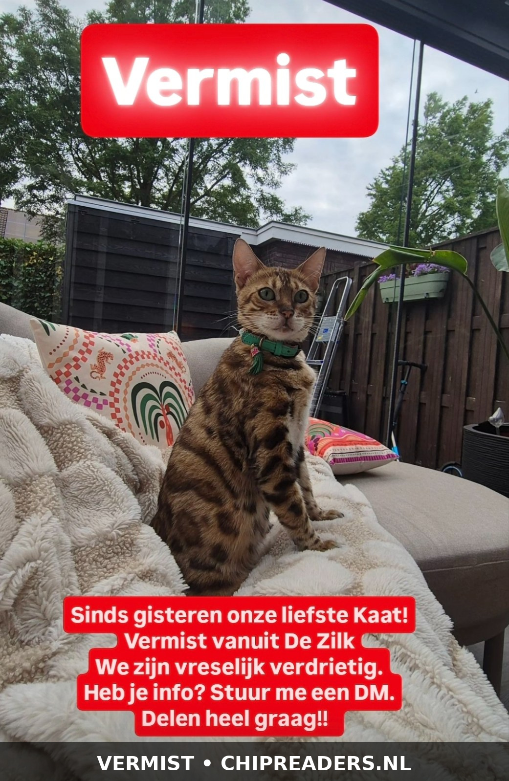 Kaat