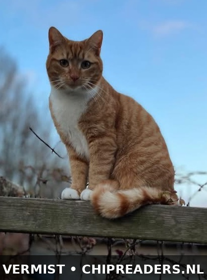 Sammie
