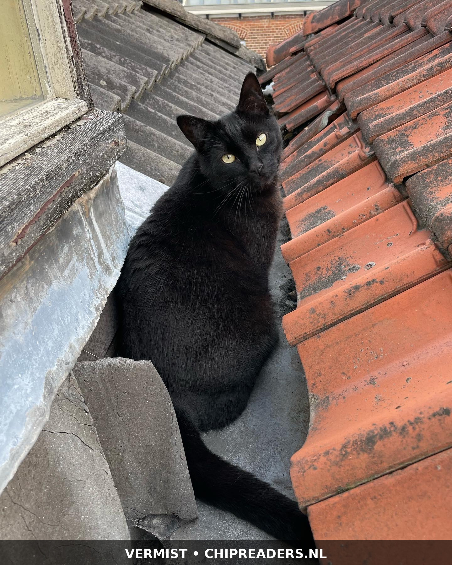 Finn foto 3