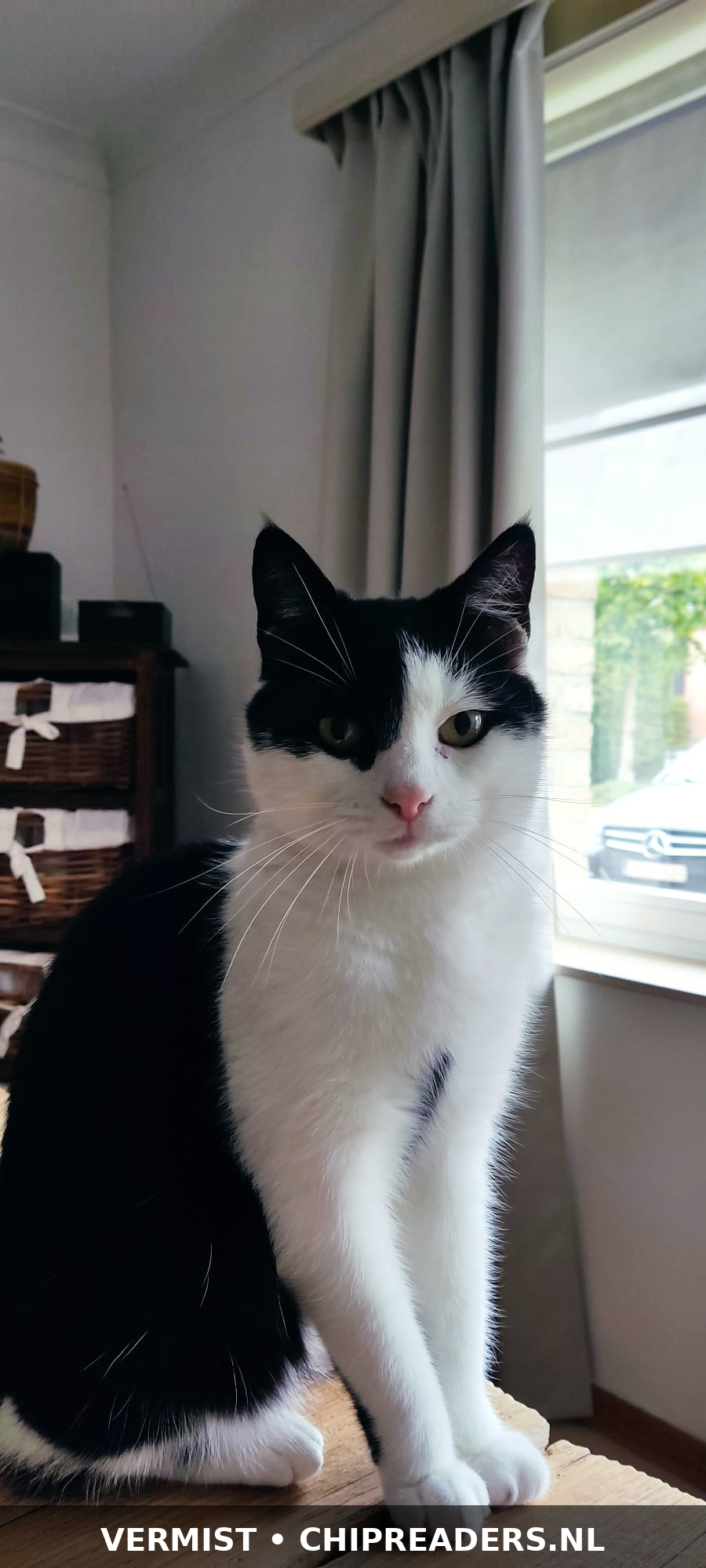 Figaro