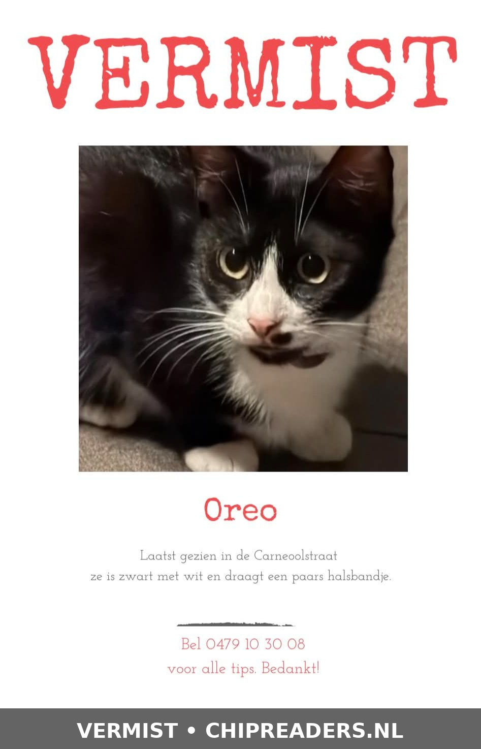 Oreo