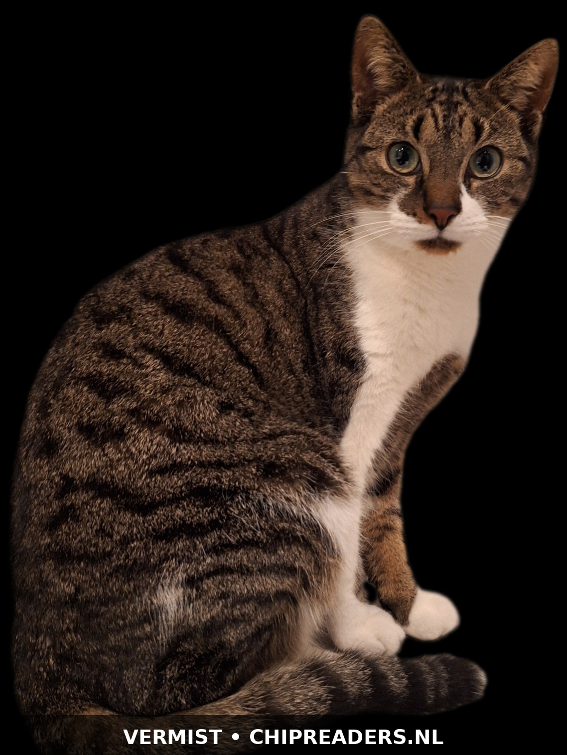 Frankie