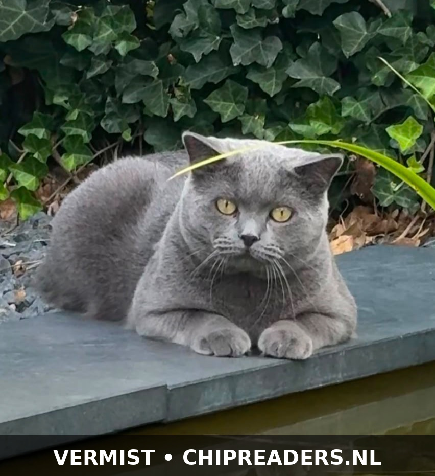George