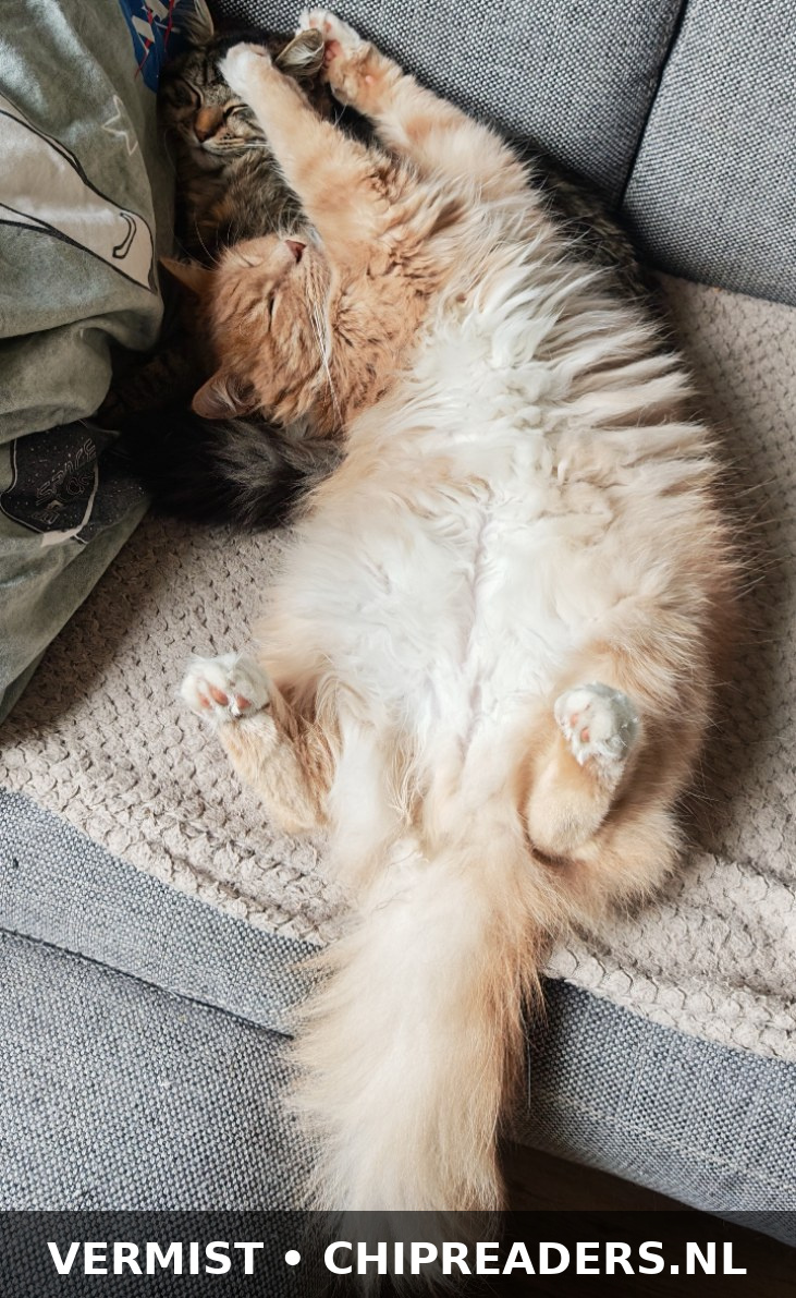 Lenny