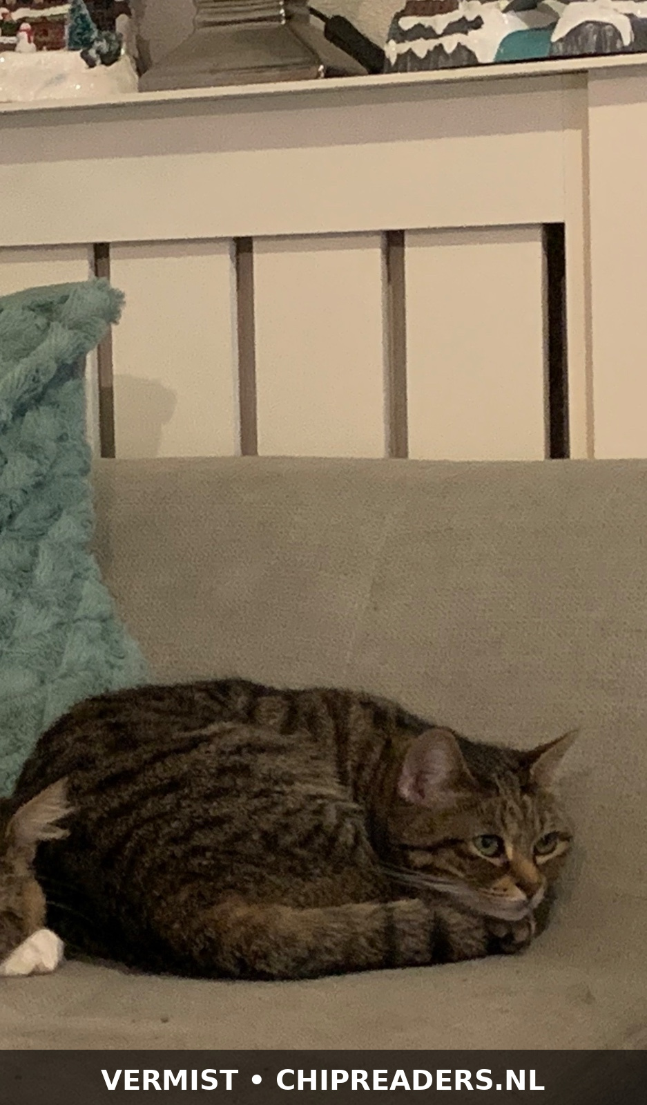 Diva