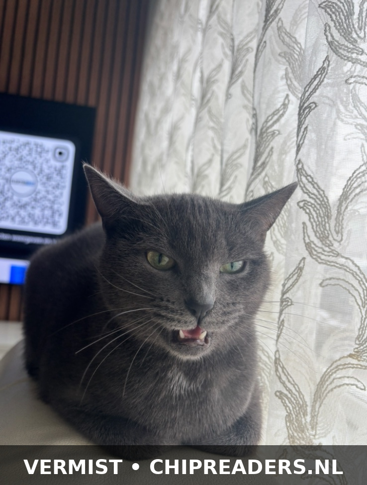 Müezza