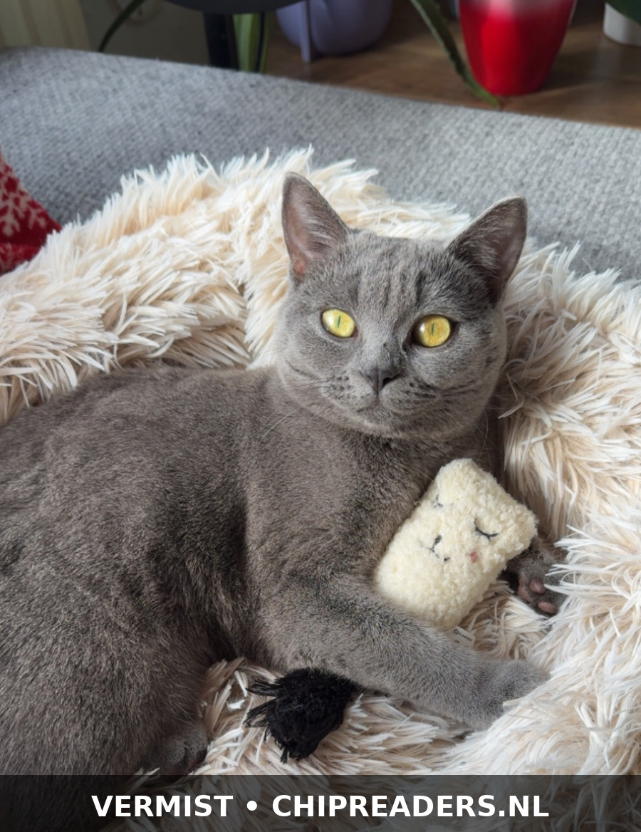 Hera