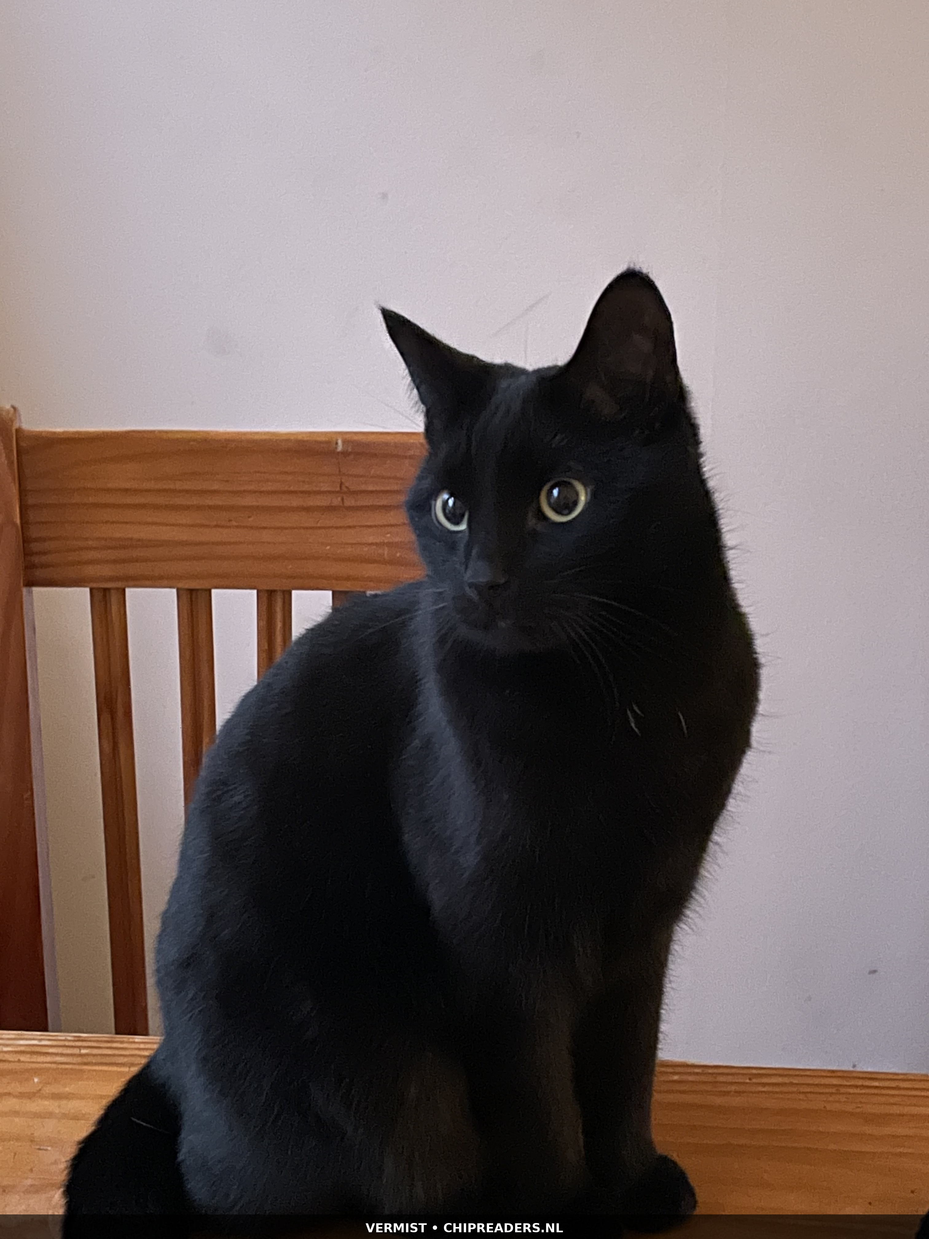 Finn foto 4