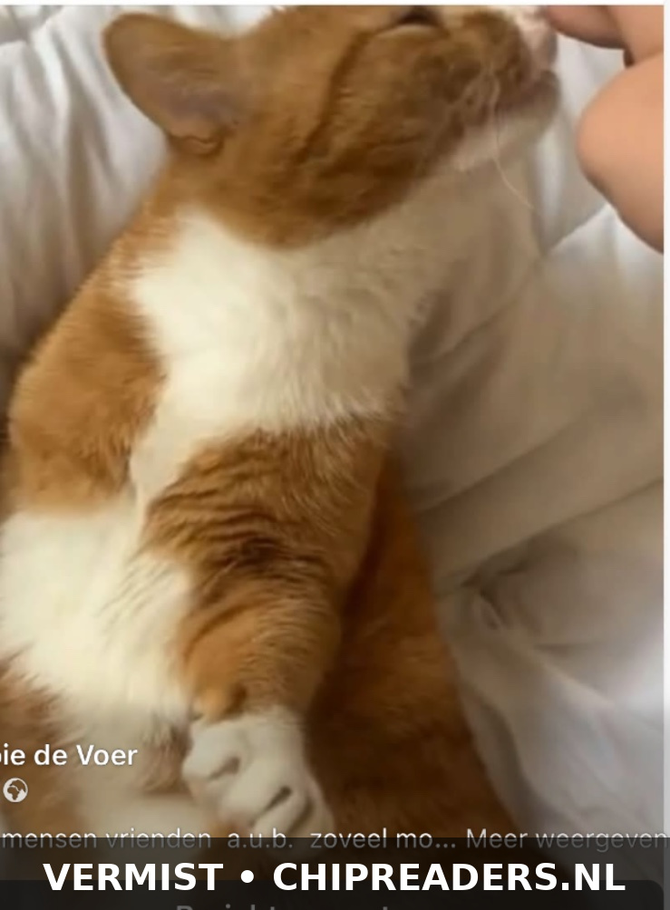 Hendrikje