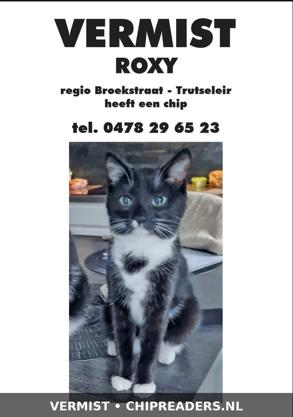 Roxy photo 5