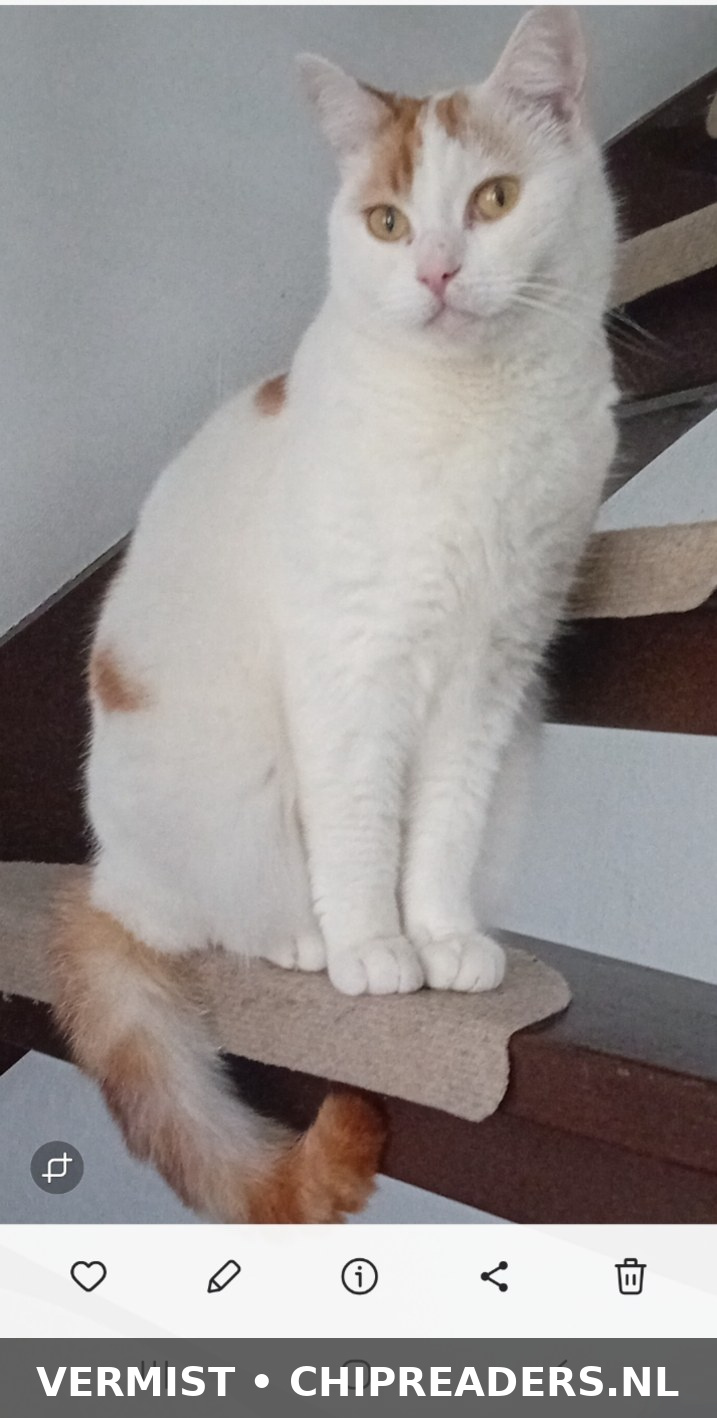 Binky