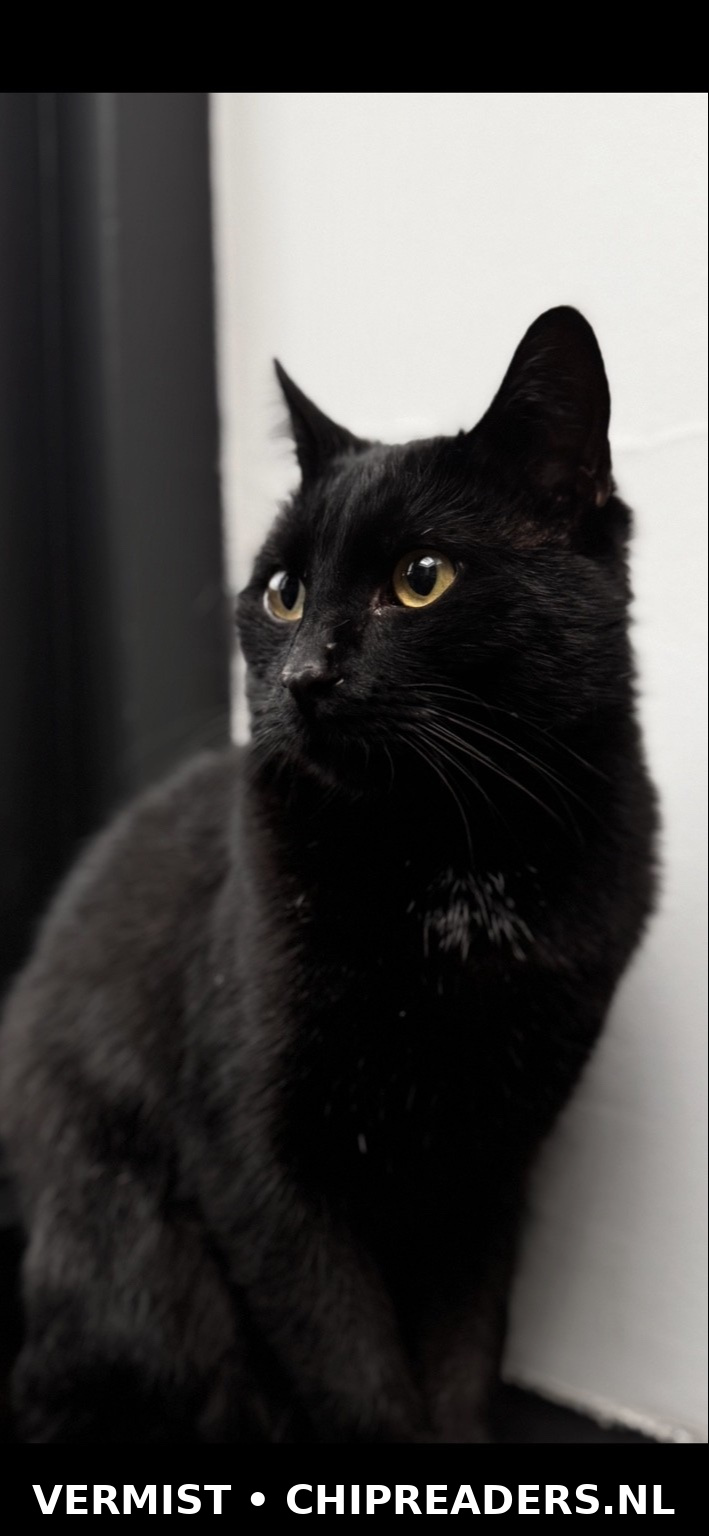 Pablo