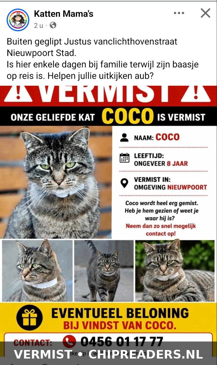 Coco