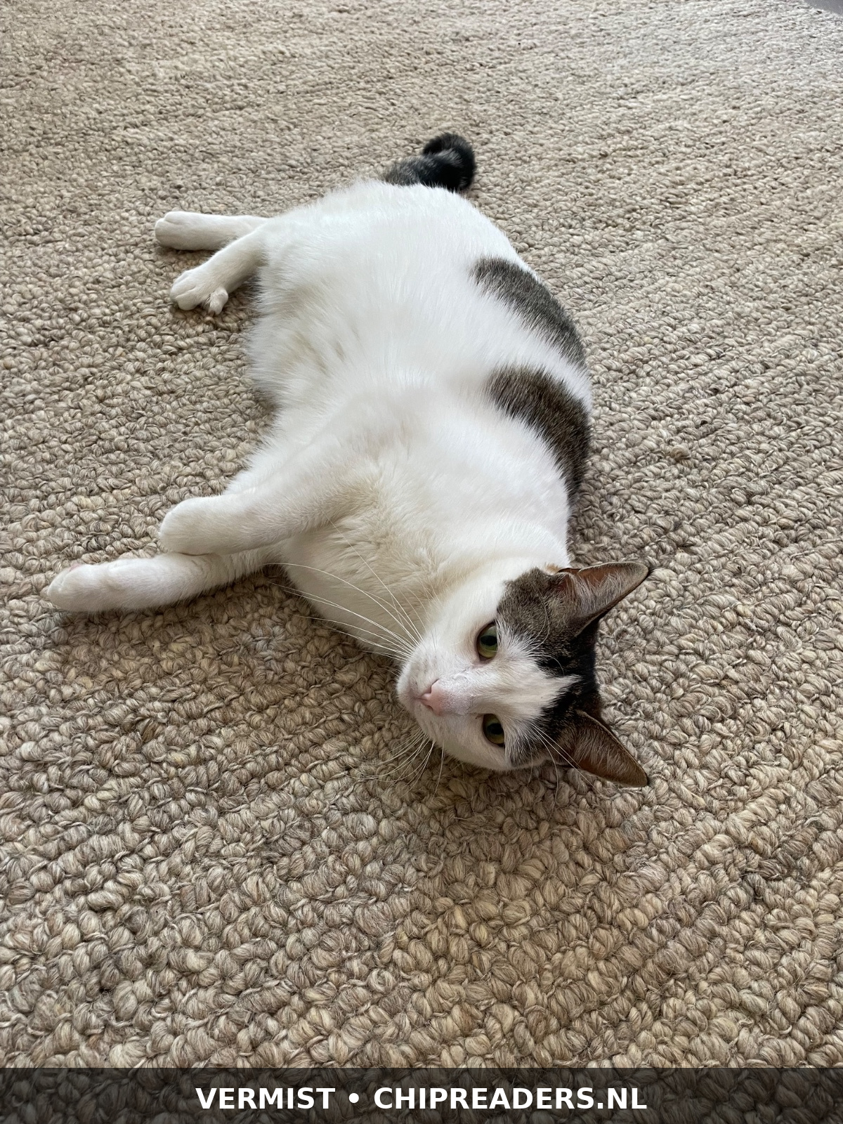 Max