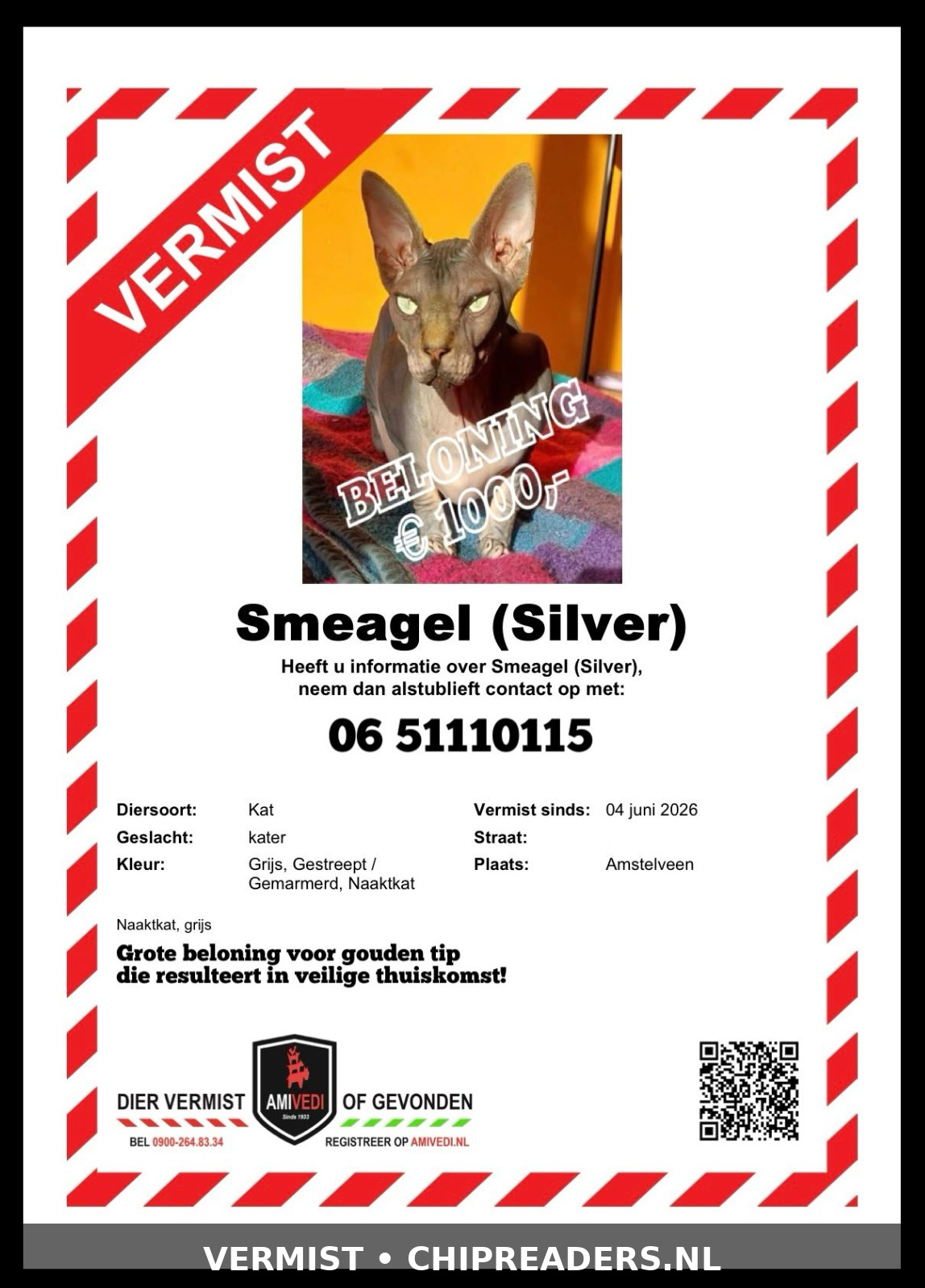 Silver Smiegel op chip?