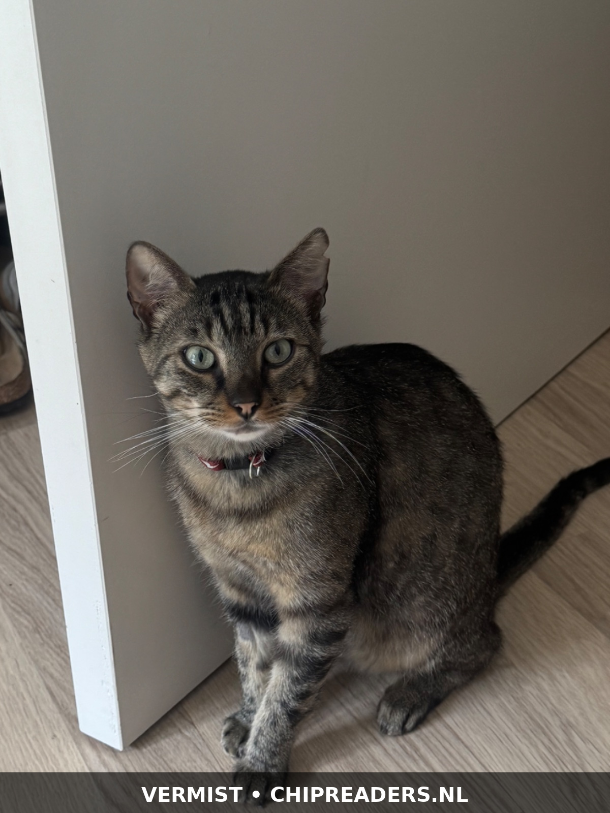 Vinnie
