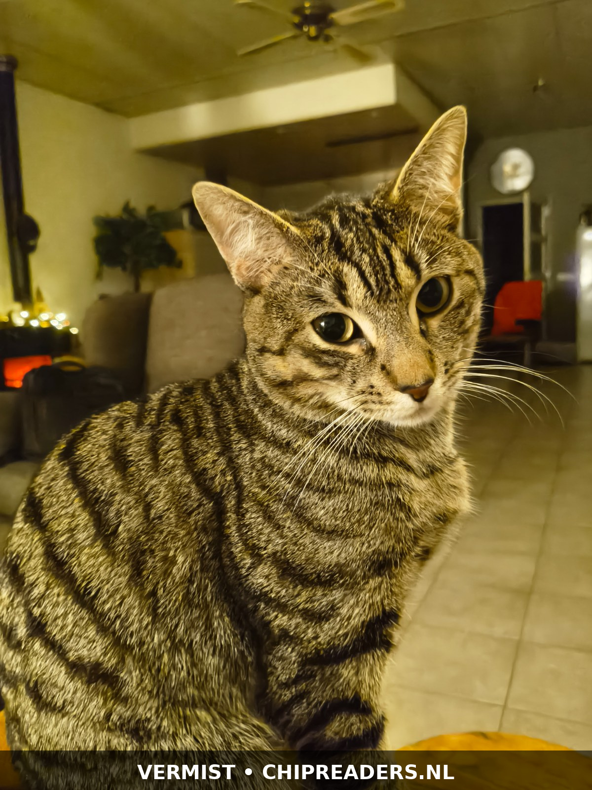 Loki