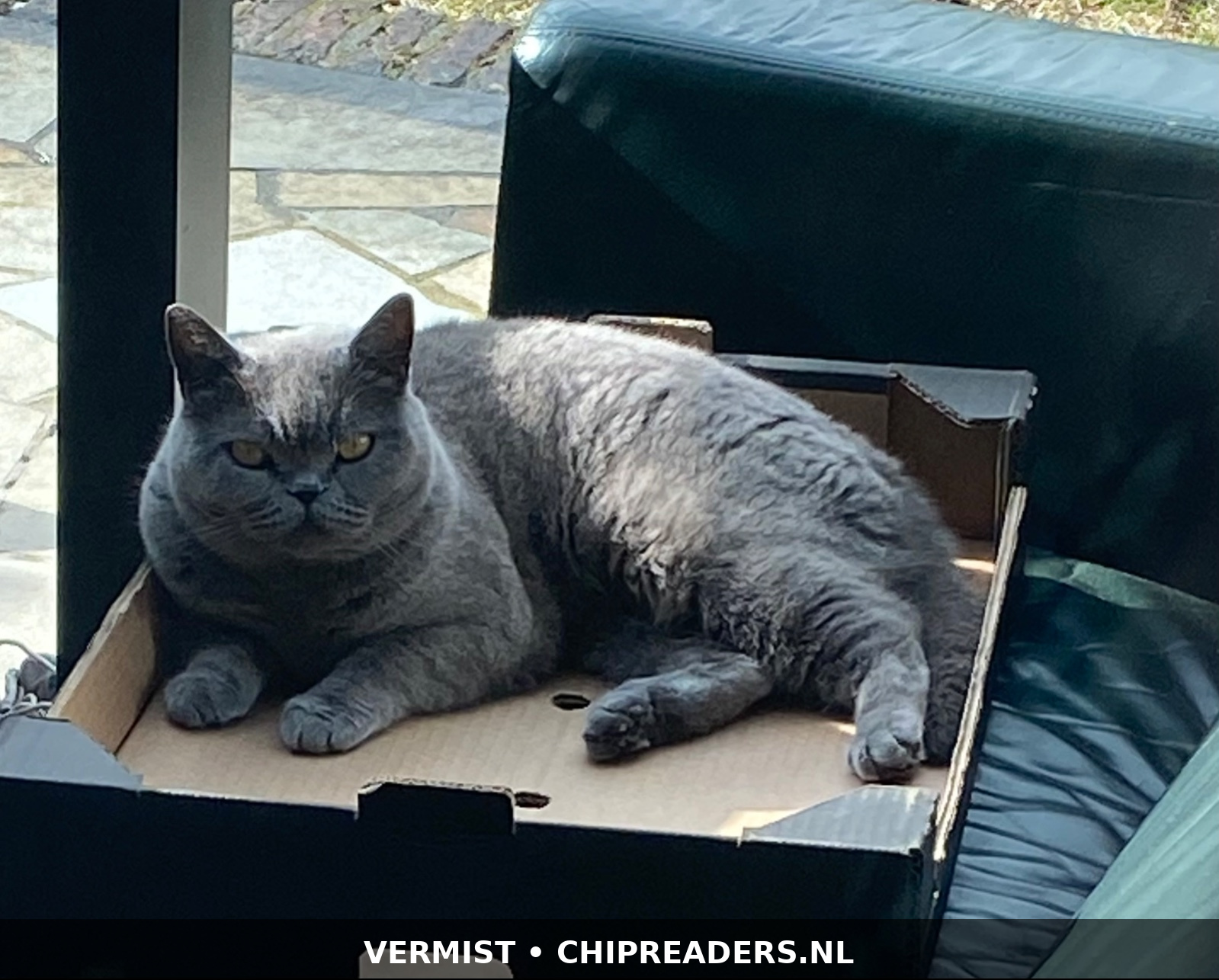 Luna