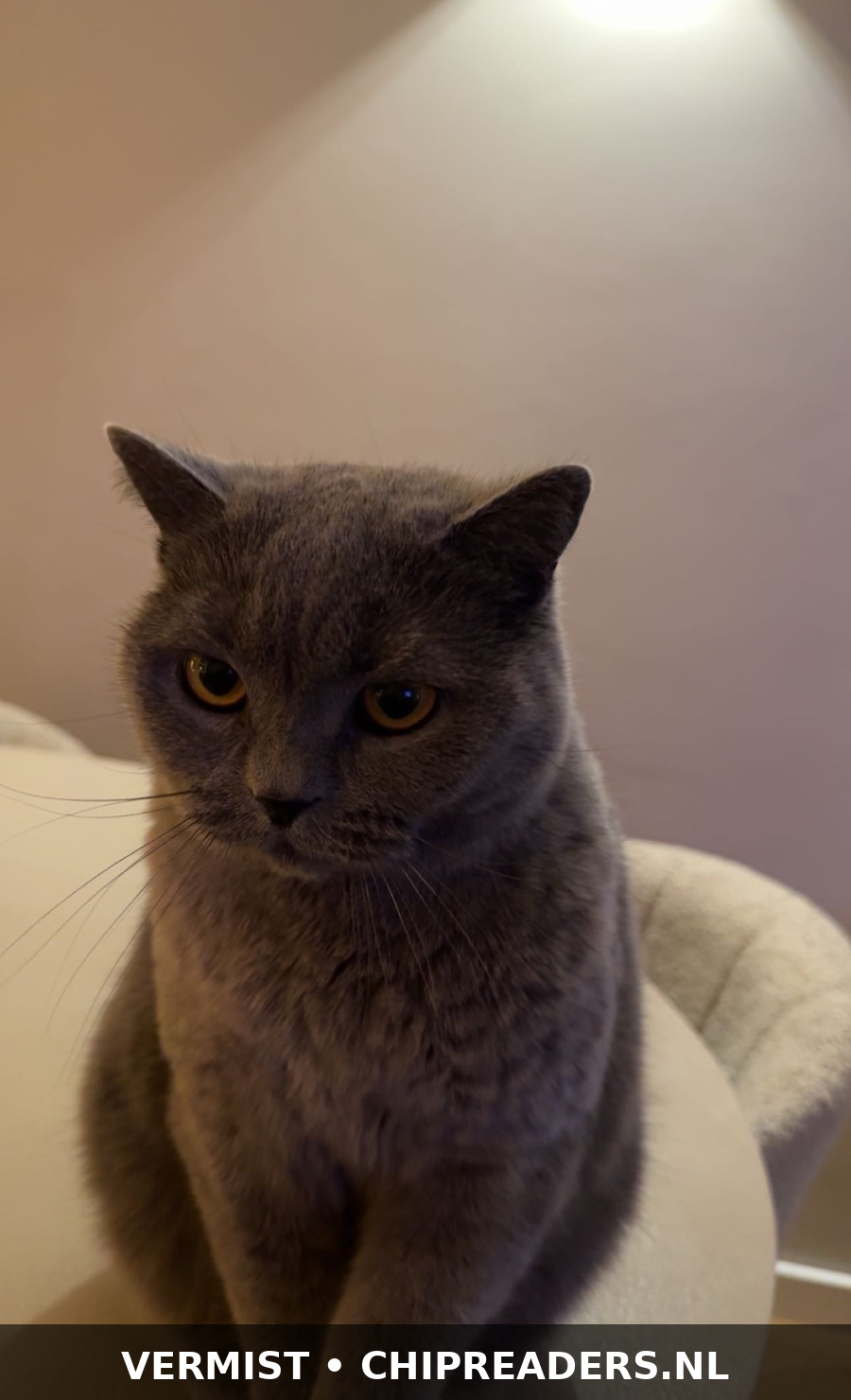 Nala