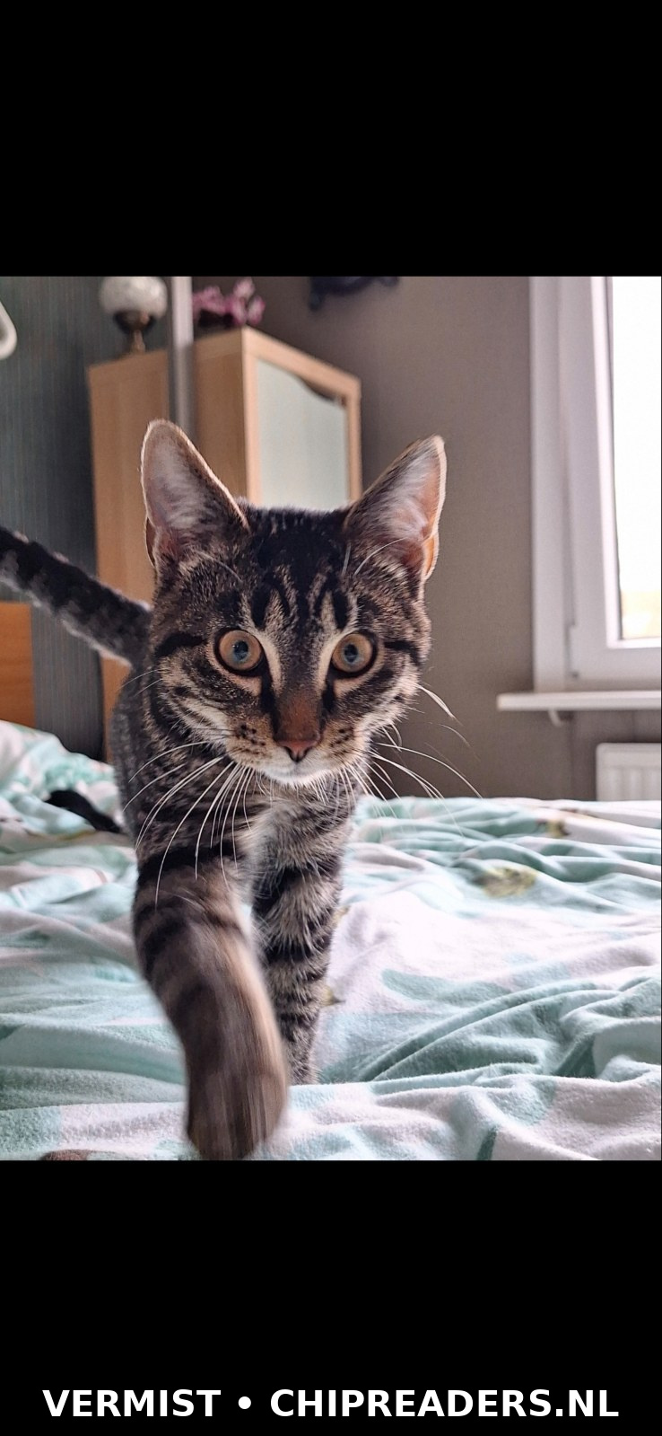 Jack