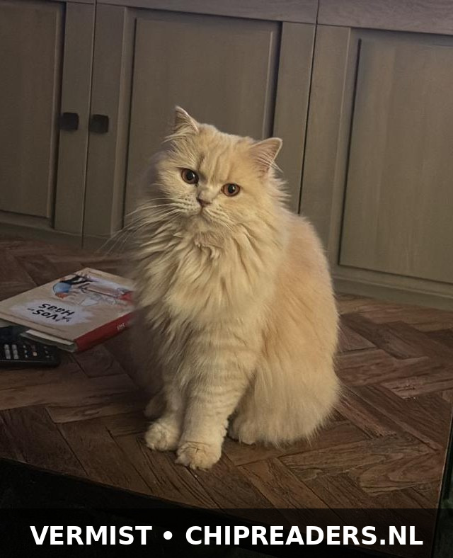 Lily